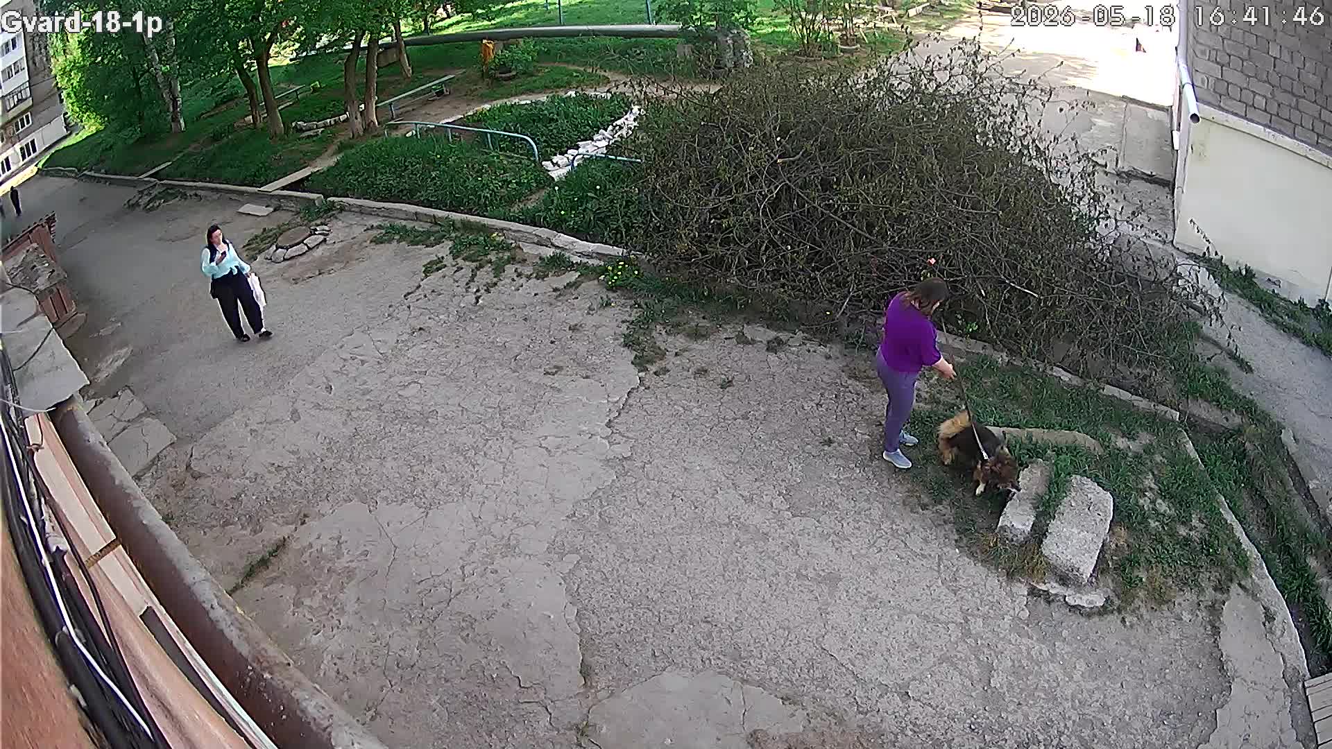 Гвардейцев 18 камера 1
