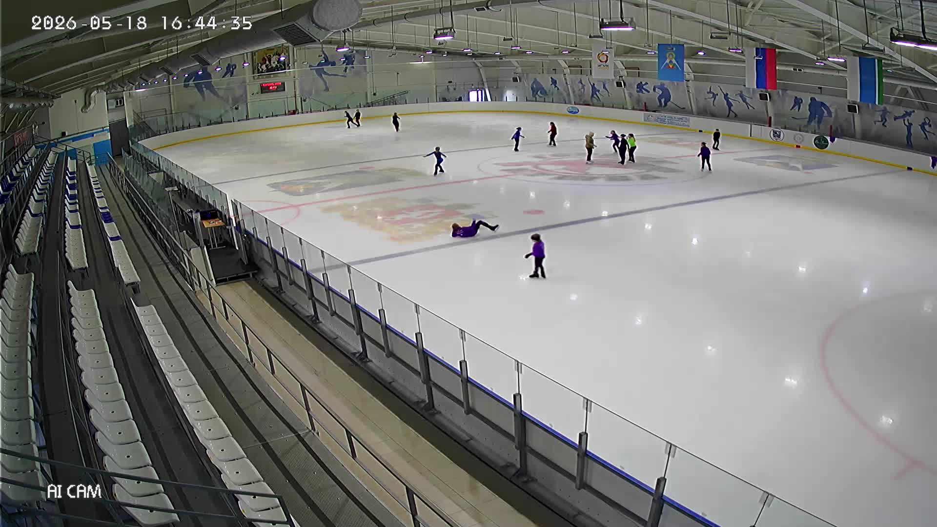 Ледовая арена (2 камера)